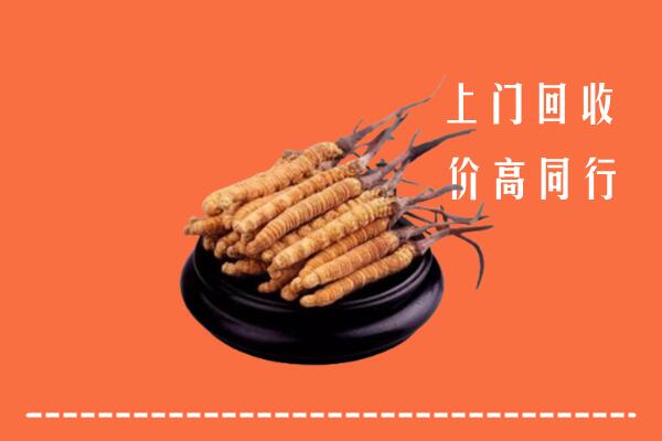 高价求购：谢岗镇回收散虫草