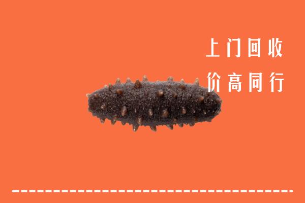 高价求购：谢岗镇回收海参
