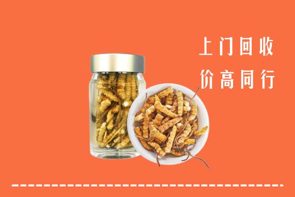 谢岗镇回收冬虫夏草